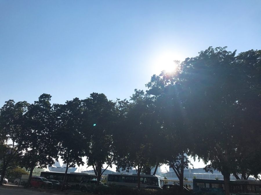 うどん屋さんで「アスタキサンチン入り！」その言葉に惹かれて